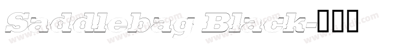 Saddlebag Black字体转换